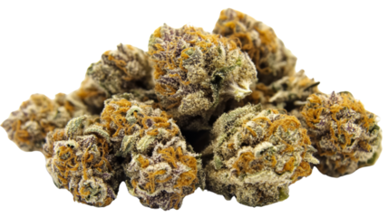 Cannabis buds forming a pile on transparent background