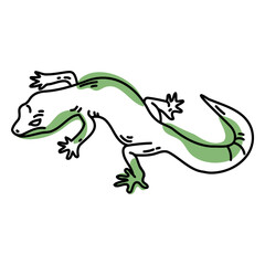 Obraz premium lizard color stroke.