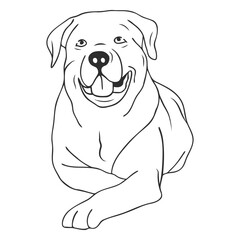 Fototapeta premium Joyful Rottweiler: An illustration capturing a Rottweiler lying down, its expression filled with happiness, mouth open in a smile, and embodying the breed's friendly nature.