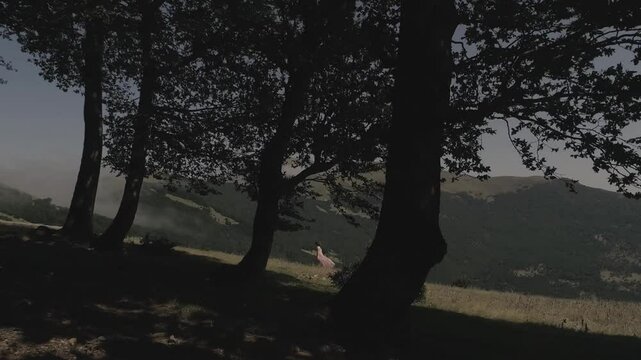 sunset in the woods