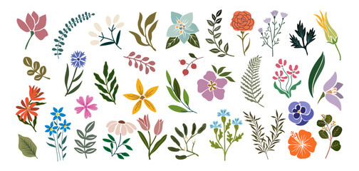 Set of hand drawn floral design elements, abstract shapes. Wild and garden flowers, leaves. Contemporary modern vector botanical art illustrations in trendy colors isolated