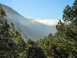 La Palma, Nationalpark Caldera de Taburiente © Schönbacher Gerhard