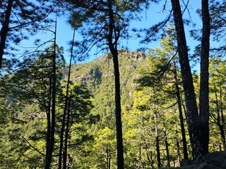 La Palma Kanarische Inseln Landschaft, Natur, Panorama