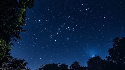 Fototapeta premium The Big Dipper constellation in the night sky