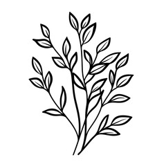 Elegant Tree Line Art Illustration PNG | Minimalist Nature Sketch