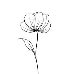 Obraz premium Beautiful Flower Line Art Illustration PNG | Hand-Drawn Floral Design