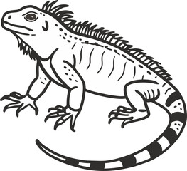 Fototapeta premium Detailed Black and White Iguana Illustration Hand Drawn Reptile Art for Nature and Wildlife Projects