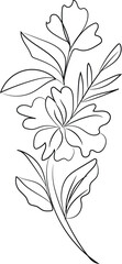 Fototapeta premium vector illustration of lily