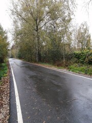An asphalt road in the countryside after a rain.