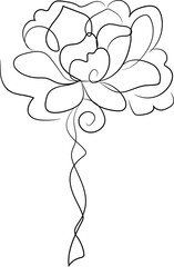 orchid isolated on white background