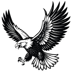 Soaring Eagle