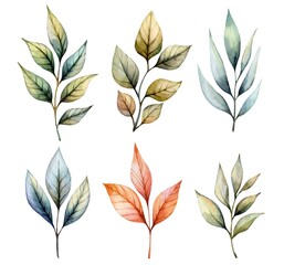 Various types of watercolor leaves showcasing unique shapes and colors in a natural art style