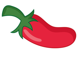 vector illustration of a red chilli