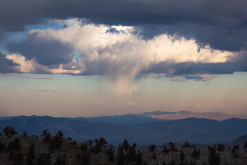 Rain forms over the ancient bristlecone forest, home to the oldest trees on Earth.