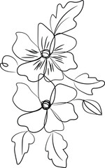 black and white flower