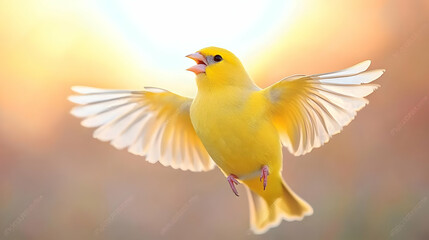 Obraz premium Yellow bird in flight, sunset background, nature scene, perfect for pet, wildlife, or nature websites