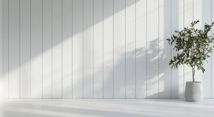 Obraz premium Minimalist interior design featuring a potted plant casting shadows on a bright white wall with natural sunlight creating a serene atmosphere
