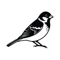 Obraz premium A sparrow silhouette vector illustration