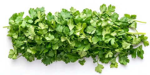 Naklejka premium a bunch of green leaves