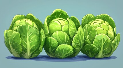 Fototapeta premium green brussels sprouts isolated,cartoon