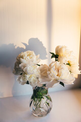 White peony flowers in glass vase in soft sunset light. Delicate beauty of white peonies bathed in the golden sunset casting soft shadows. A serene composition spring blooming. Trendy sun light.