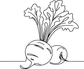Minimalist Daikon Radish Line Art | Vector Illustration