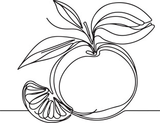 Mandarine Fruit Line Drawing Vector Art for Modern Designs