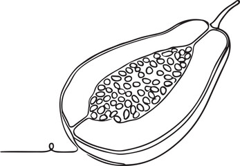 Papaya Vector Art. Modern Minimalist Line Illustration