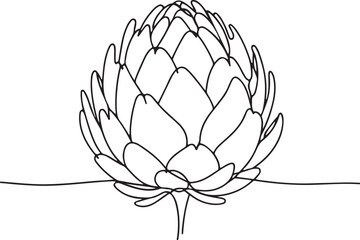 Simple and Elegant Artichoke Line Art Vector Illustration