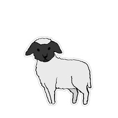 cute flat dorper sheep sticker
