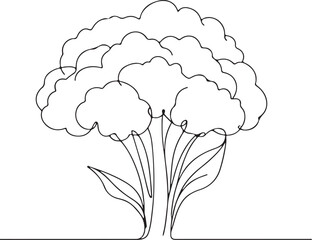 Cauliflower Line Drawing Vector | Minimalist Vegetable Art