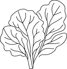 Minimalist Collard Greens Vector – Line Art Design