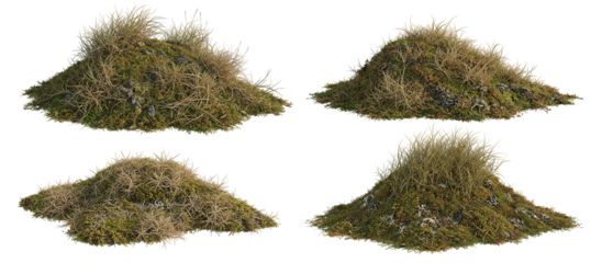 Set of dry grass and moss patches with rocks, transparant background