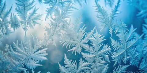 A Stunning Display of Delicate Ice Crystals on a Cold Windowpane, Revealing the Intricate Beauty of Nature's Frozen Artwork