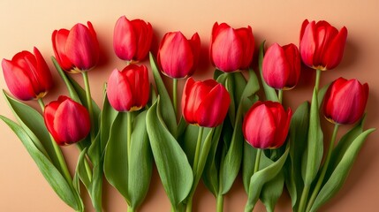 Fototapeta premium A lavish bouquet of vibrant red tulips, professionally shot with a soft beige background