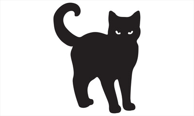 black cat isolated on white background