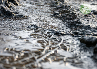 beautiful, frozen winter road, reminiscent of charming lace jeans, frost has decorated the road