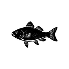 fish vector illustration