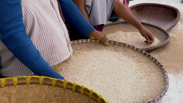 Traditional way of cleaning Rice from husk in Assam