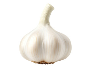 fresh garlic
