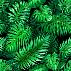 Fototapeta premium Horizontal artwork composition of trendy tropical green leaves 