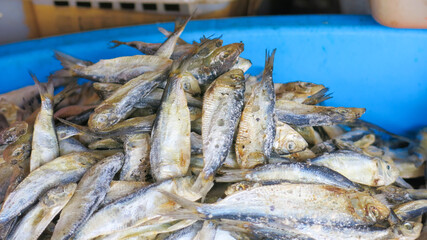 pile of dried salty fish on basket in asian grocery market