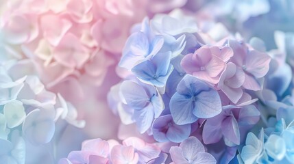 Obraz premium Multi-colored translucent leaves and pastel-colored flowers are superimposed on each other on a soft background, creating a delicate and airy visual effect. The concept of nature.