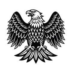 eagle vector illustration