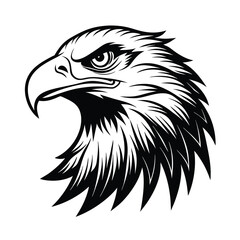 eagle head vector illustration
