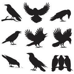 Sparrow Silhouette On A Branch On A Transparent Background Silhouette of a bird on branchBirds