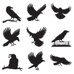 Sparrow Silhouette On A Branch On A Transparent Background Silhouette of a bird on branchBirds