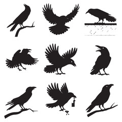 Sparrow Silhouette On A Branch On A Transparent Background Silhouette of a bird on branchBirds