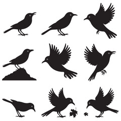 Sparrow Silhouette On A Branch On A Transparent Background Silhouette of a bird on branchBirds