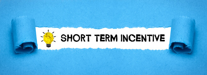 Short Term Incentive	